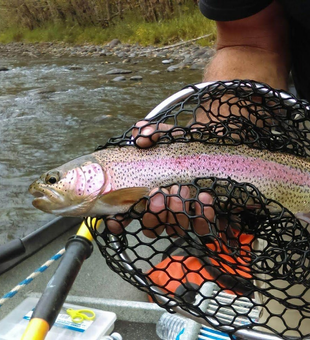 Oregon’s trout fishing hotspot